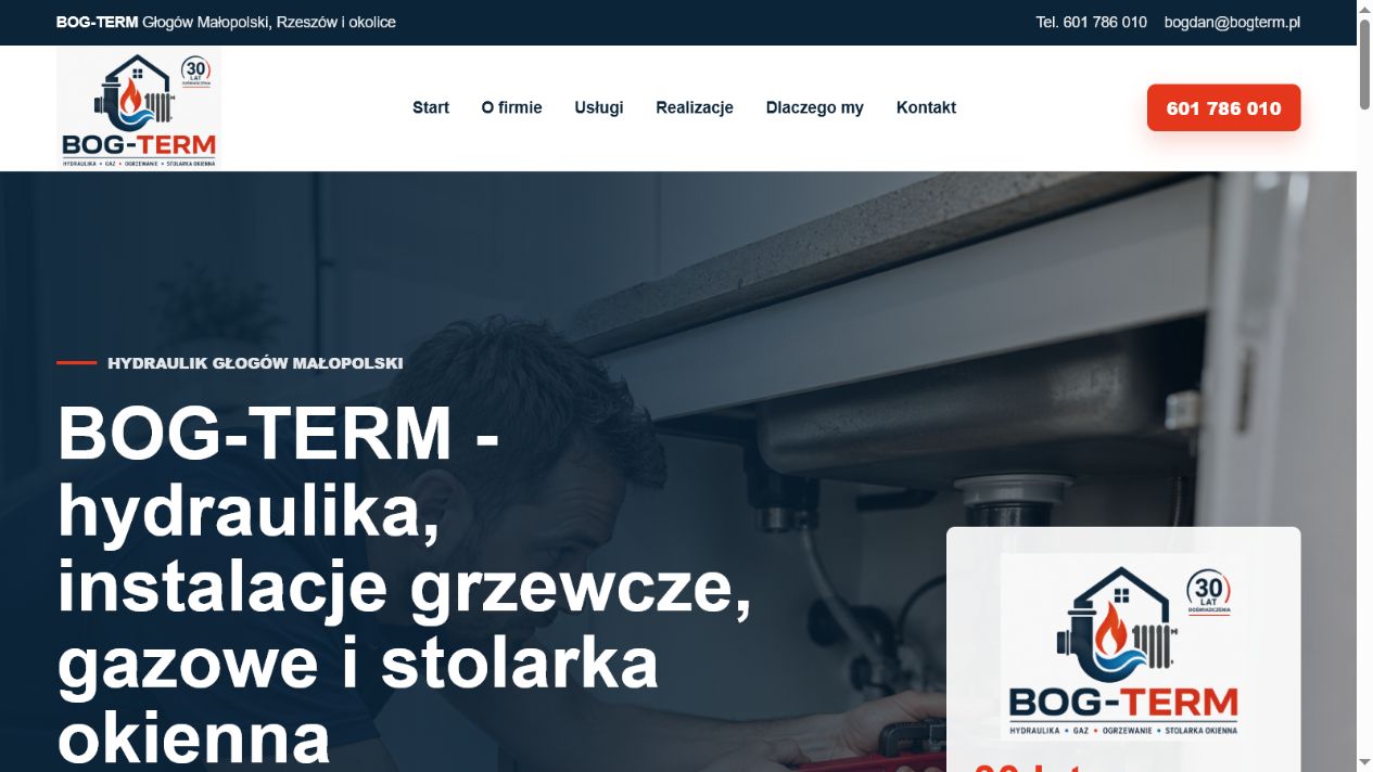 Podgląd strony internetowej BOG-TERM